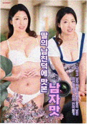 都市情感剧青梅巷十七号海报